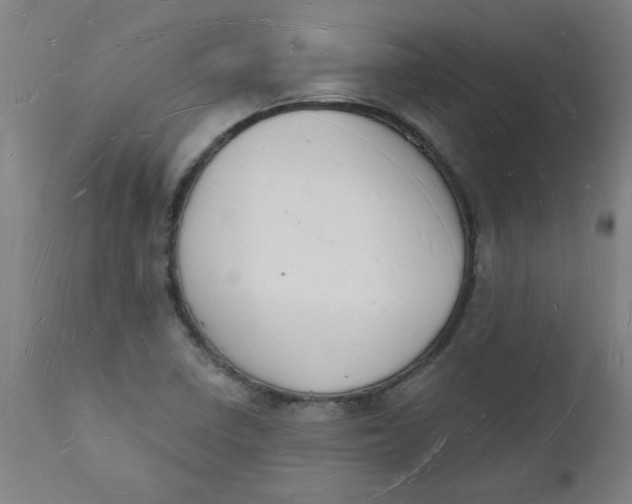 X0000112141410200908281306