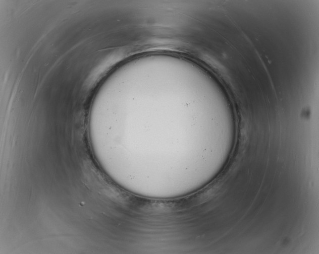 X0000112141411200908281306