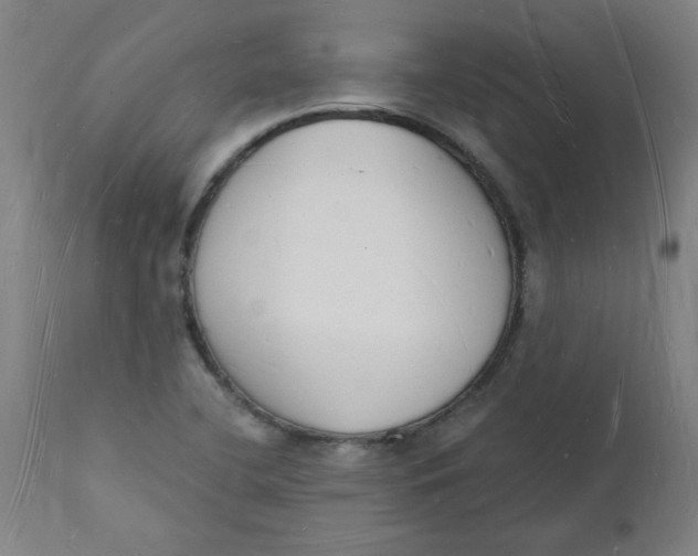 X0000112141412200908281306