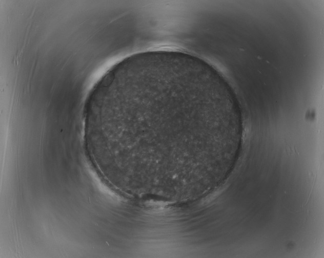 X0000112141414200908281306