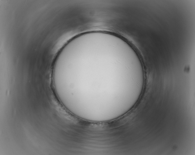 X0000112141415200908281306