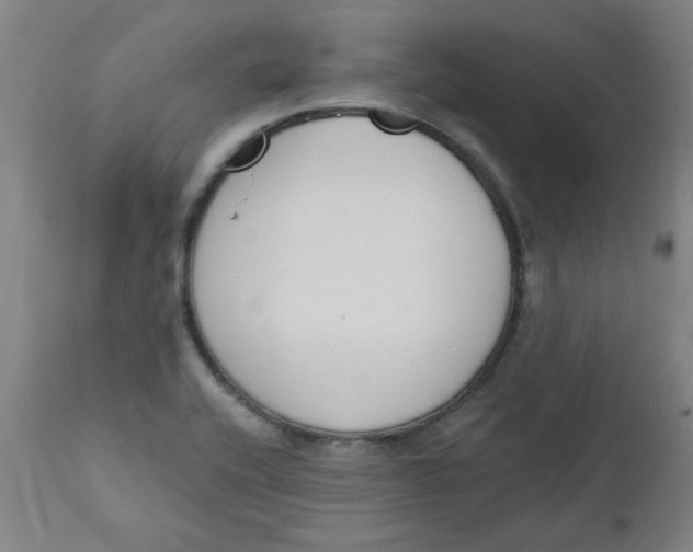 X0000112141416200908281306