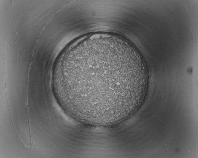 X0000112141418200908281306