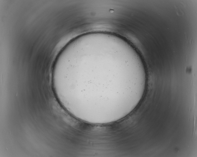 X0000112141419200908281306