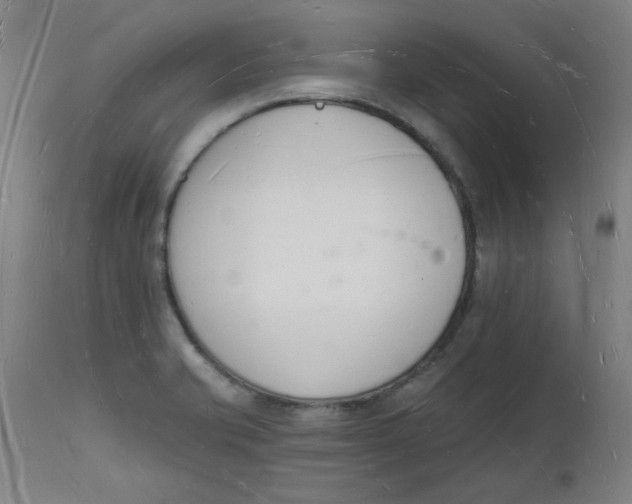 X0000112141421200908281306