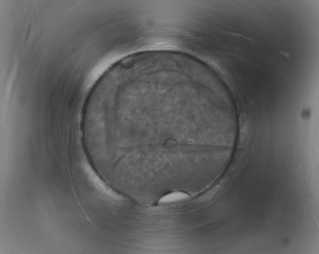 X0000112141422200908281306