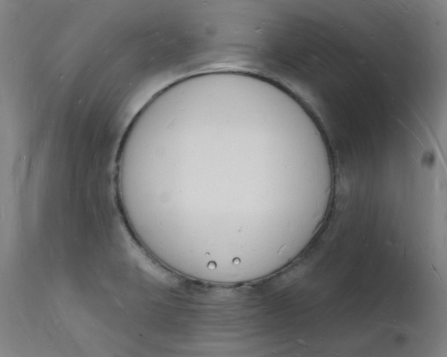 X0000112141423200908281306