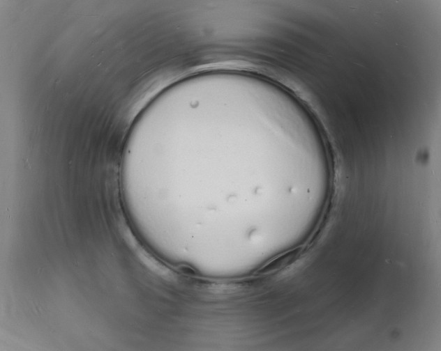 X0000112141425200908281306