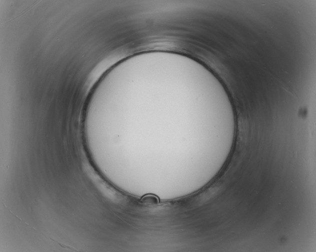 X0000112141426200908281306