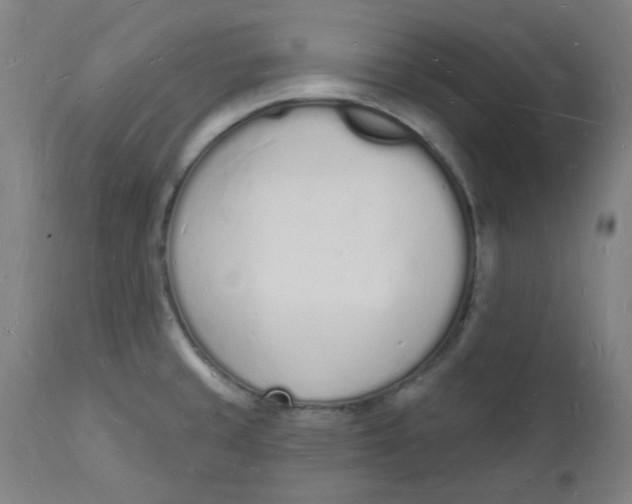 X0000112141429200908281307