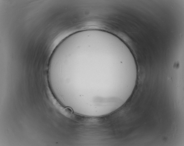 X0000112141431200908281307