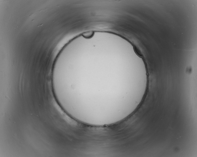 X0000112141432200908281307