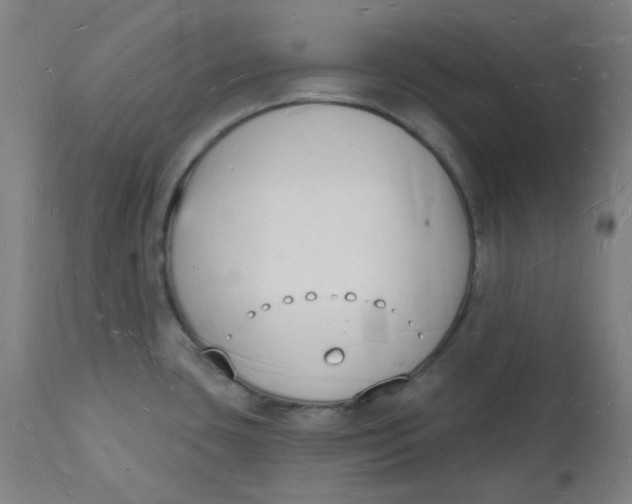 X0000112141435200908281307