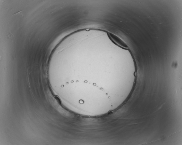 X0000112141436200908281307