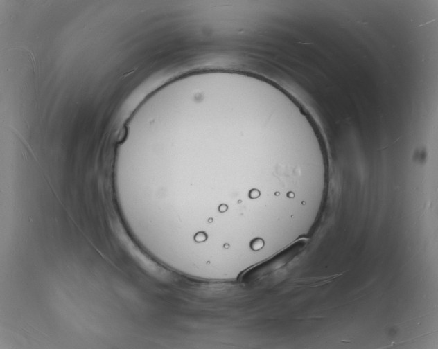 X0000112141437200908281307