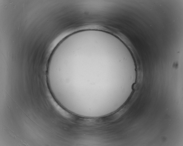 X0000112141438200908281307