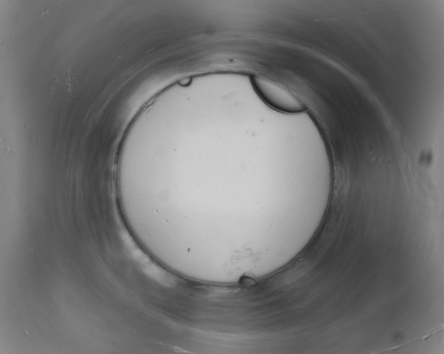 X0000112141439200908281307