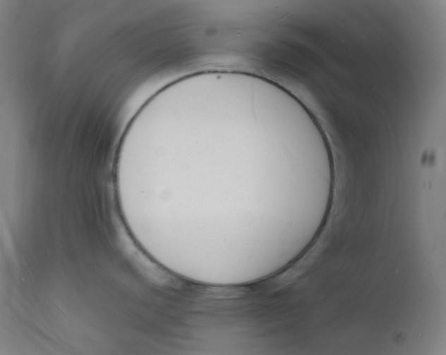 X0000112141440200908281307