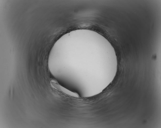 X0000112141441200908281306