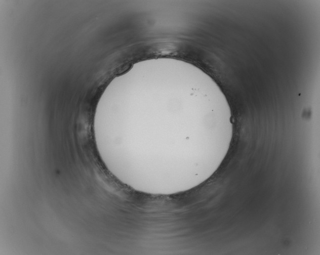 X0000112141442200908281306