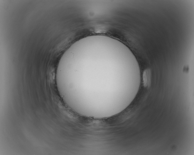 X0000112141443200908281306