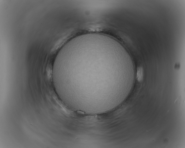 X0000112141444200908281306