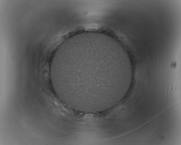 X0000112141445200908281306