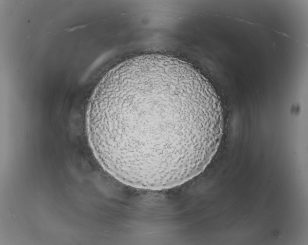 X0000112141446200908281306