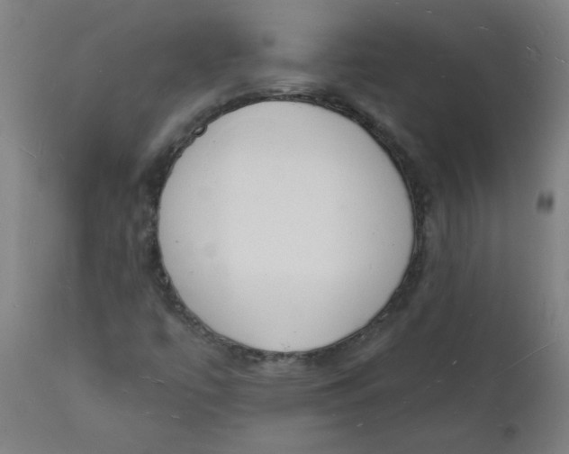 X0000112141447200908281306