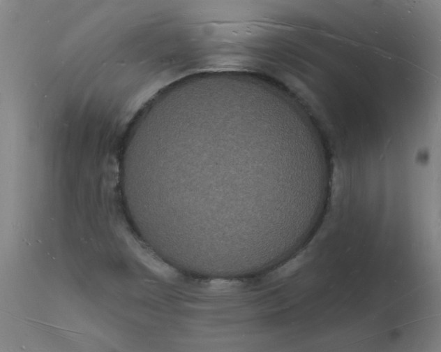 X0000112141449200908281306