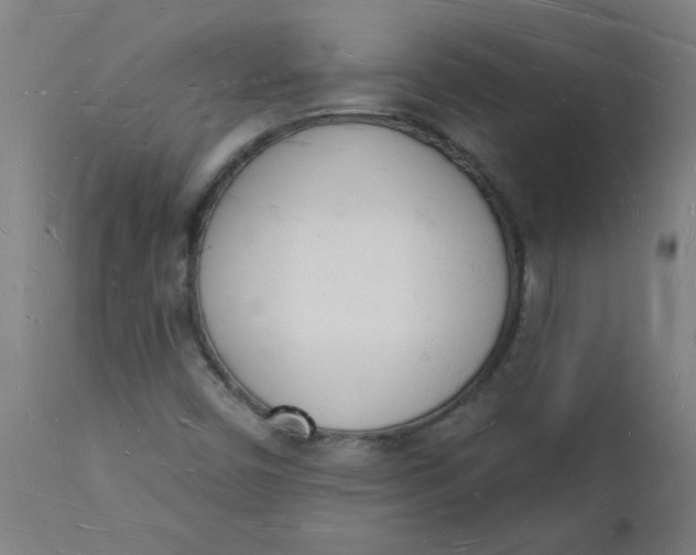 X0000112141450200908281306