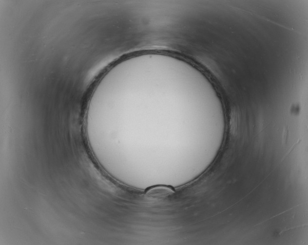 X0000112141452200908281306