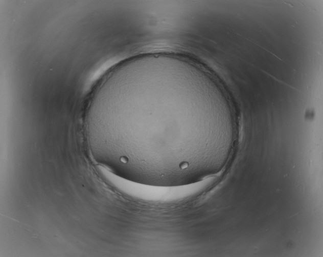 X0000112141453200908281306