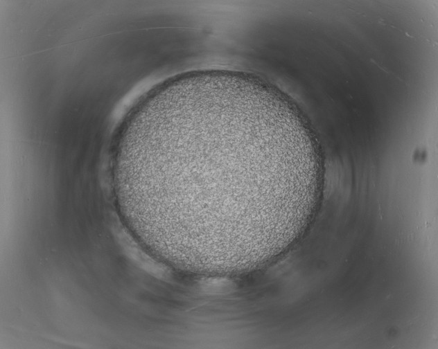 X0000112141454200908281306