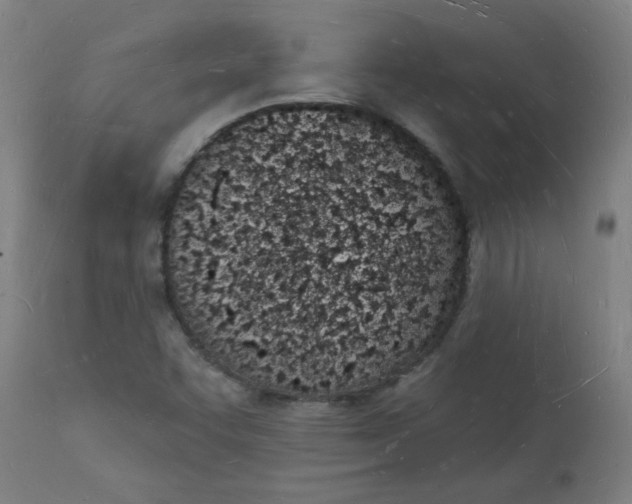 X0000112141455200908281306