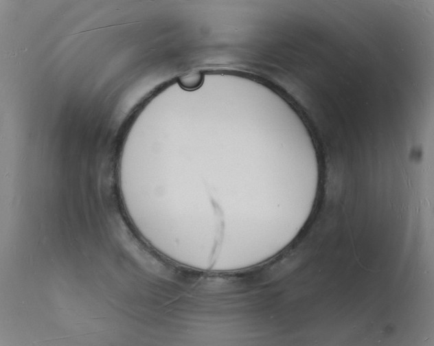 X0000112141458200908281306