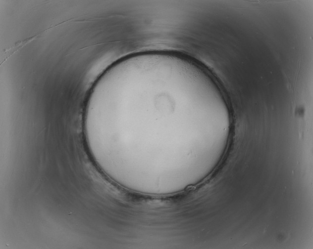 X0000112141459200908281306