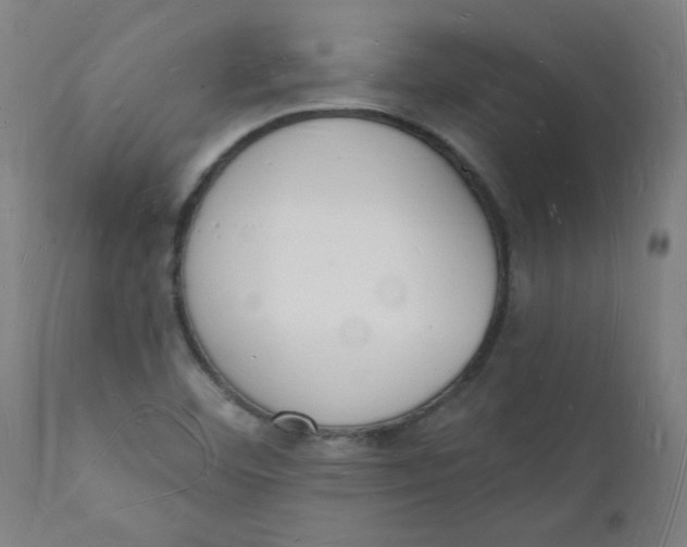 X0000112141460200908281306