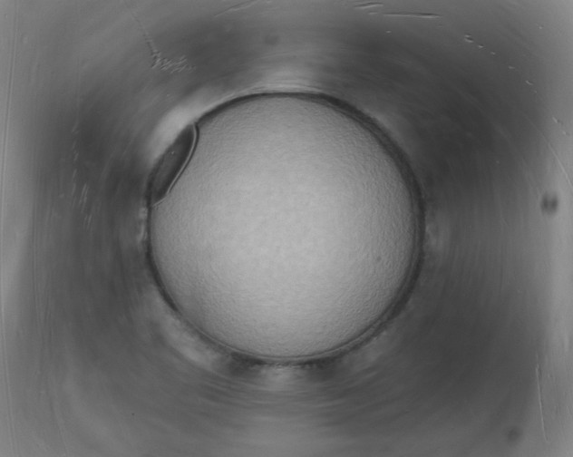 X0000112141461200908281306