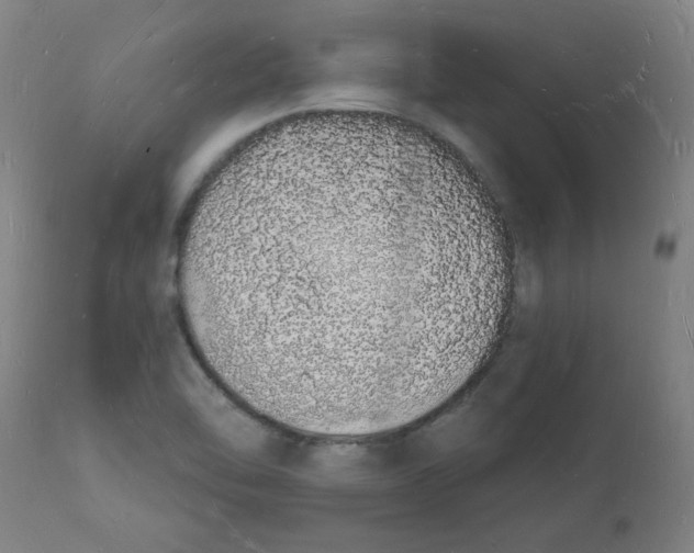 X0000112141462200908281306