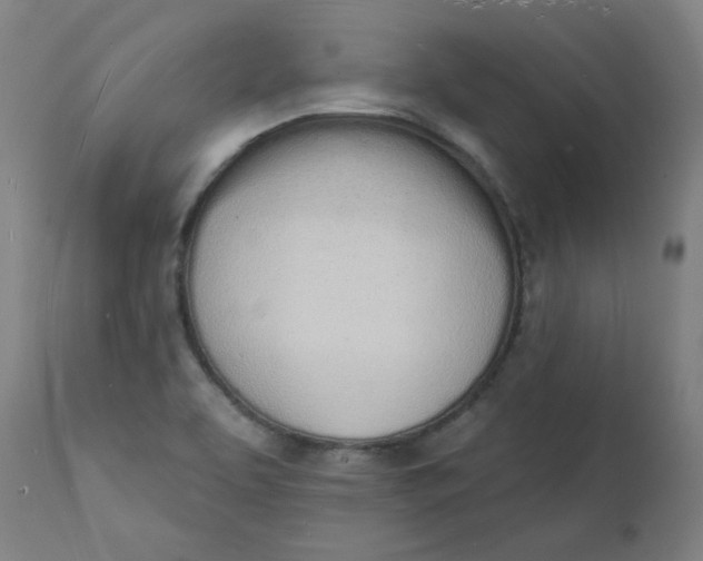 X0000112141463200908281306