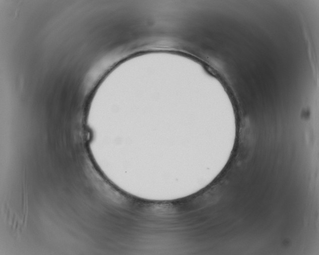 X0000112141464200908281306