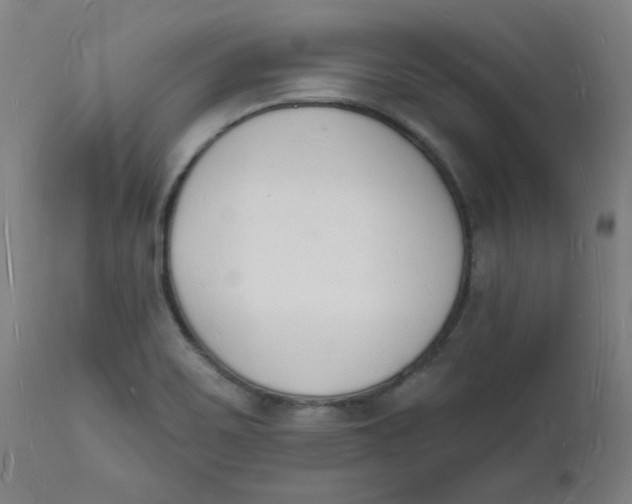 X0000112141467200908281305