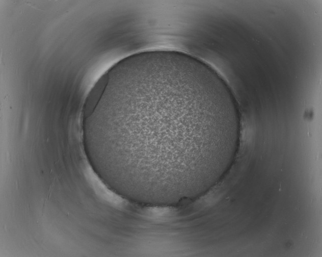 X0000112141468200908281305