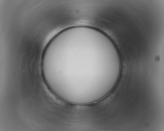 X0000112141469200908281305