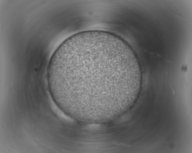 X0000112141470200908281305