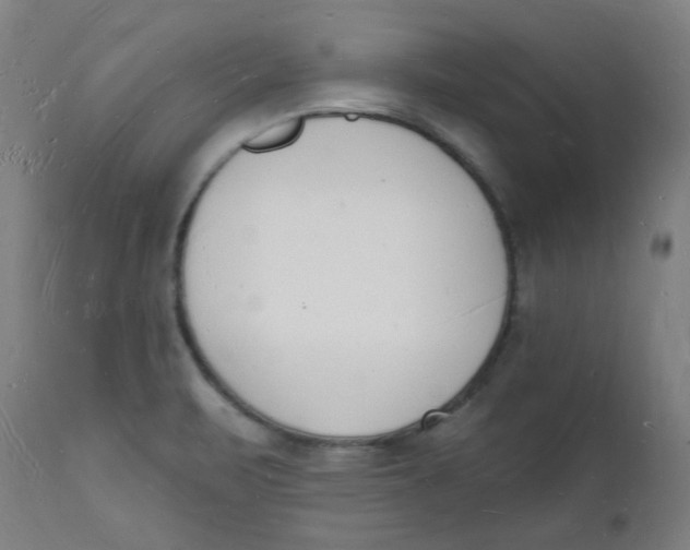 X0000112141471200908281305