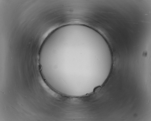 X0000112141476200908281305