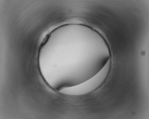 X0000112141477200908281305