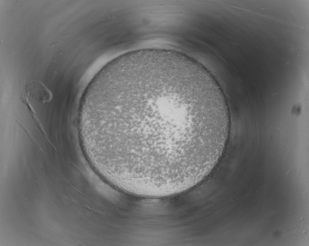 X0000112141478200908281305